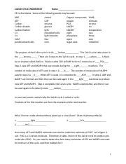 Calvin Cycle Worksheet Docx CALVIN CYCLE WORKSHEET Name Fill In The