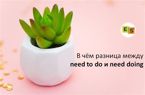 chem raznitsa mezhdu       blog ob angliyskom yazyke