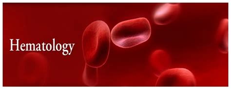 Spleen Disorders Ask Hematologist Understand Hematology