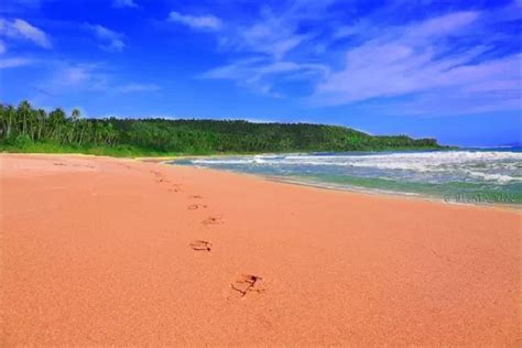 Tempat Wisata Populer Di Kabupaten Nias Dari Mulai Wisata Alam