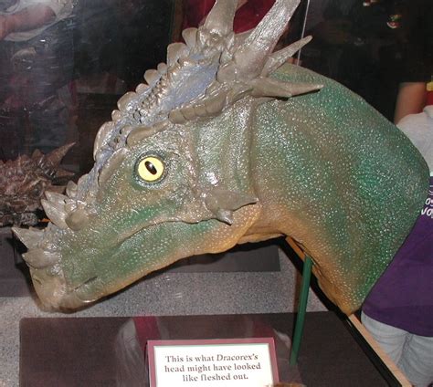 5 Dollars Dracorex Hogwartsia