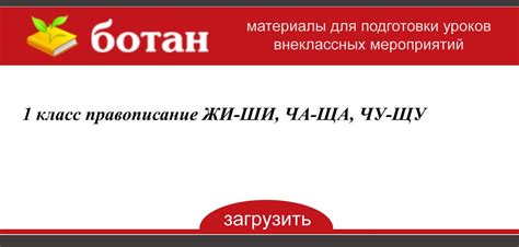 1 класс правописание ЖИ-ШИ, ЧА-ЩА, ЧУ-ЩУ - БОТАН