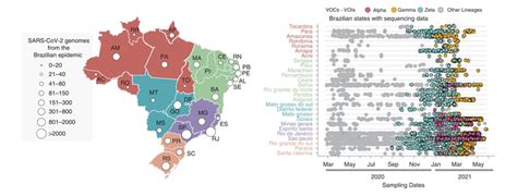 Maior parte das introduções do coronavírus no Brasil ocorreu antes da