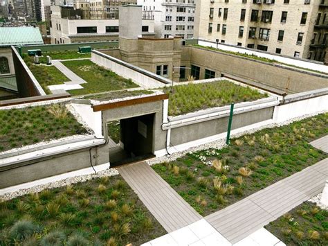 A Green Roof On Top Of A Building With Lots Of Grass Growing In The Middle