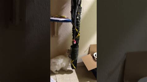 Swinging Pussy Pole YouTube
