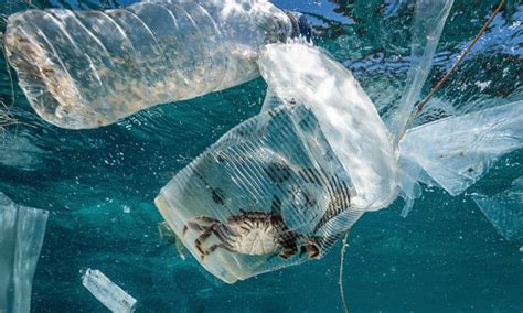 Plastic in the Ocean – This site is designed to spread awareness about ...