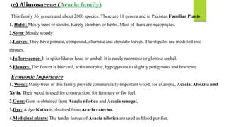 Pharmacognosy Leguminosae family | PPT