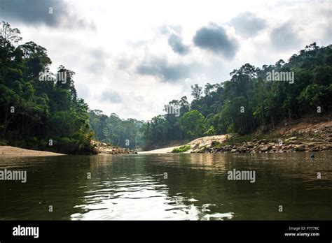 Tembeling River Rainforest Jungle Kuala Tahan Taman Negara