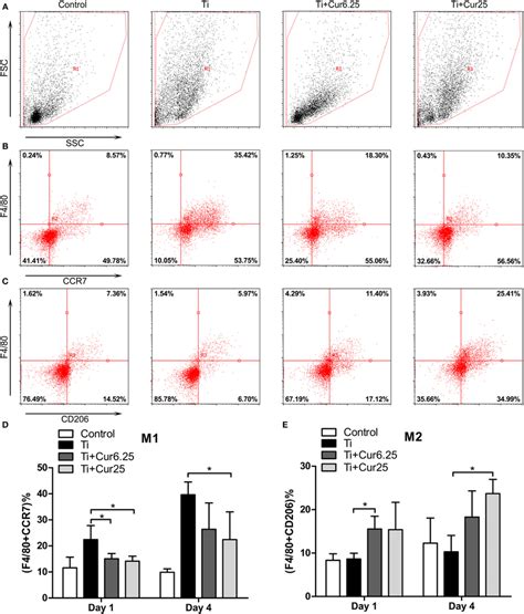 Flow Cytometric Analysis Of Cells Obtained From The Inflammatory