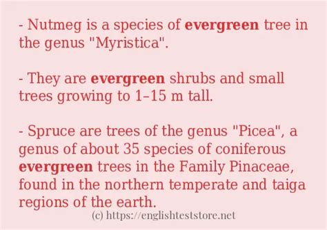 Sentence Example Of Evergreen Englishteststore Blog