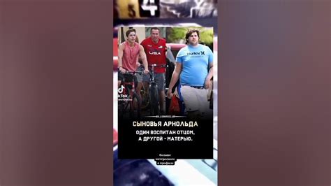 Сыновья Арнольда - YouTube