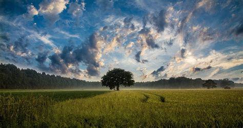 Wy Czenie Zastosowania Ustawy O Kszta Towaniu Ustroju Rolnego