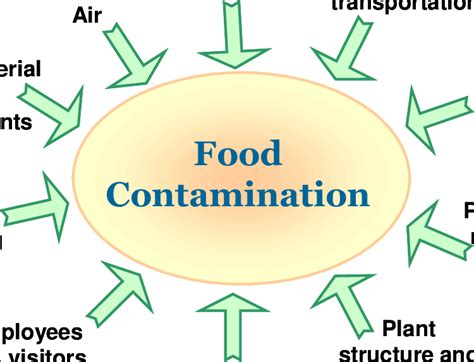 Sources Of Food Contamination Download Scientific Diagram
