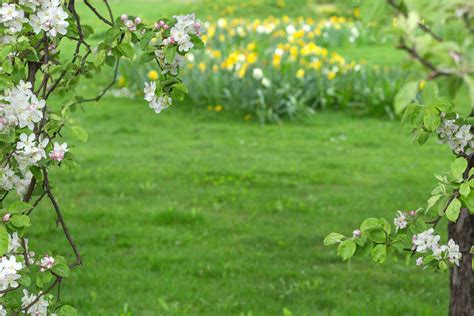 I Consigli Per La Primavera Giardinaggio Artusi Garden