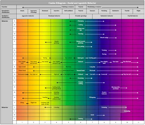 Ethogram Template