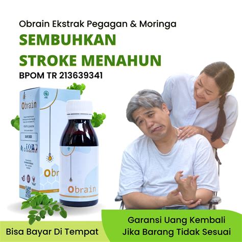 Jual Obrain Obat Herbal Stroke Ringan Dan Lumpuh Menahun Original