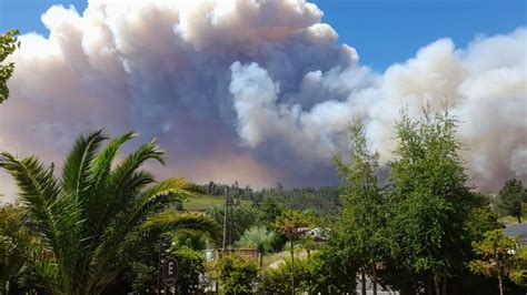 Declaran Alerta Roja Para Todo Ñuble Por Incendios Forestales Ñuble