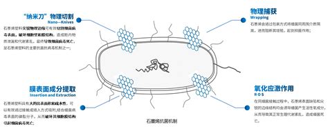 深圳环能石墨烯科技有限公司 技术先进性