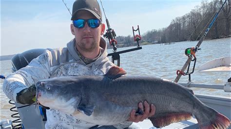 James River Catfishing Mid February Bluecats YouTube