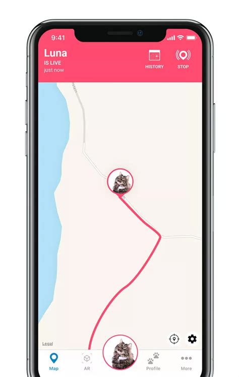 Tractive IKATI Cat GPS Tracker Review - No. 1 Cat Tracker, Pet Tracker