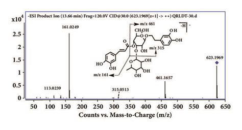 Qtof Esi Ms Ms Spectra And Proposed Fragmentation Pathways Of