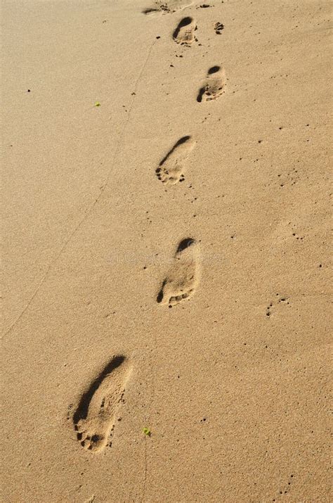 Empreintes De Pas Humaines Sur Le Sable Humide Photo Stock Image Du