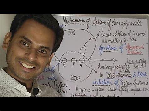 Aminoglycosides : Mechanism Of Action Simplified 😊😊 - YouTube