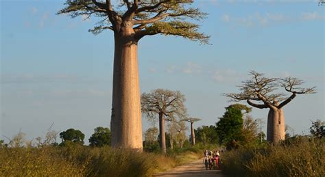 Viaje A Madagascar Con La Maleta De Carla Y Viatges Tuareg Viajes Tuareg