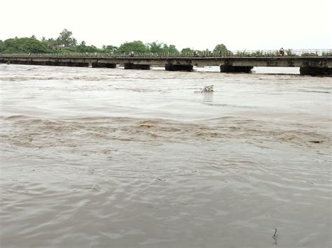 All The Rivers In Valsad District Started Flowing On Both Banks Due To