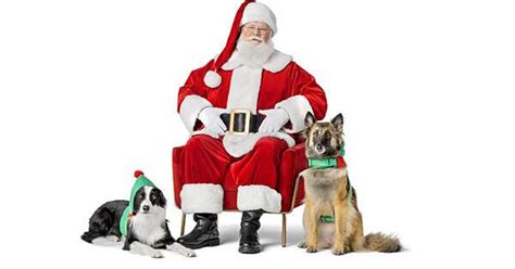 PetSmart santa | | petbusiness.com