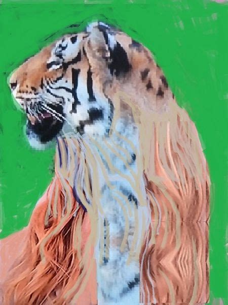 She Is A Tigress Vii Portrait Haare Frau Tier Tiger Von Colombia