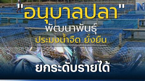 กรมประมงเร่งเครื่องยกระดับประมงชุมชนสร้างรายได้อย่างยั่งยืน