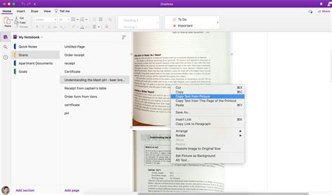 How To Rotate Pdf Pages In Onenote Drinkmsa