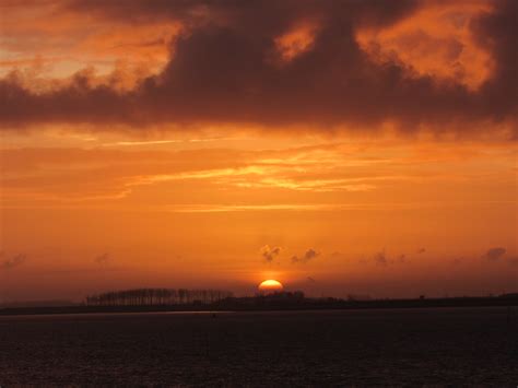 Kats Door Geeske Harkema Kats De Zon Kwam Op Na Prachtig Flickr