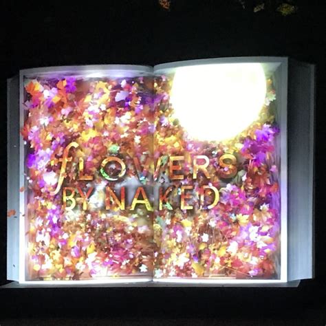 FLOWERS BY NAKED 京都条城 壮大な生花に圧倒された ウェルビーイングな暮らしリノベーション断捨離収納の話