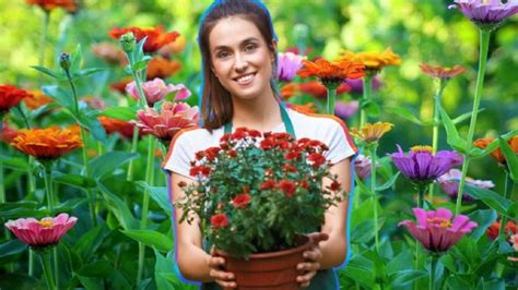 El abono casero que hará florecer a tus plantas todo el año con solo