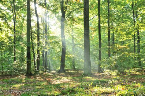 Umwelt Küchler Druck AG