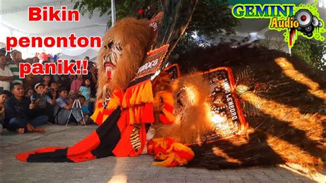 Solah Dadak Merak Reog Ponorogo Pembarong Adu Solah Sabetan Reog