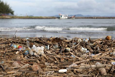 Día del cambio climático qué es y por qué se celebra el 24 de octubre