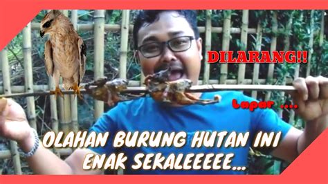 Olahan Burung Puyuh Bakar Hasil Berburu Di Hutan Youtube