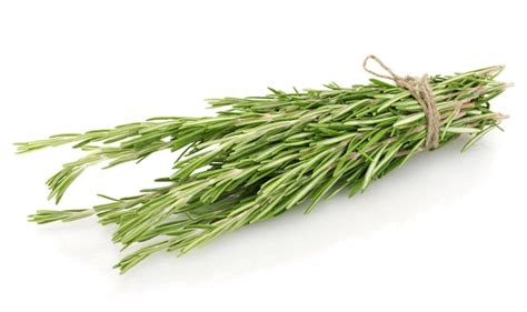 Premium Photo | Fresh green rosemary isolated on white