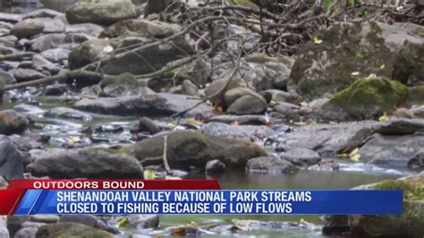 Fishing Closed At All Shenandoah National Park Streams YouTube