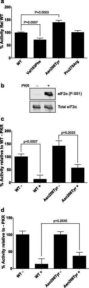 Effects Of Eif2bα Mutations On Gef Activity And Inhibition By