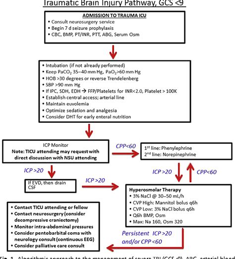 Figure 1 From Acute Management Of Traumatic Brain Injury Semantic