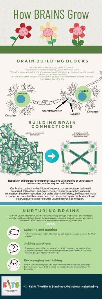 Growing Brains Infographic Kits