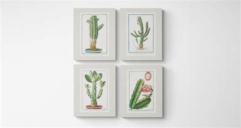 Vintage Botanical Print Cottagecore Farmhouse French Country Art Cactus