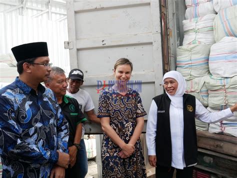 Rumput Laut Sidoarjo Tembus Pasar Australia Ekspor Perdana 15 Ton