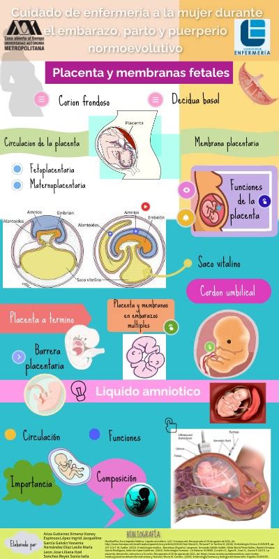 Placenta Membranas Fetales Y Liquido Amniotico