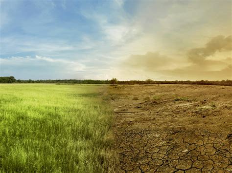 Klimawandel verändert Landwirtschaft agrarheute