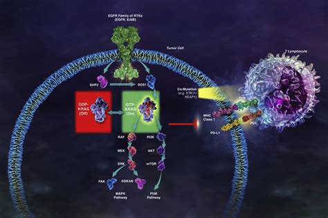 Targeting Kras In Non Small Cell Lung Cancer Recent Progress And New Approaches Annals Of